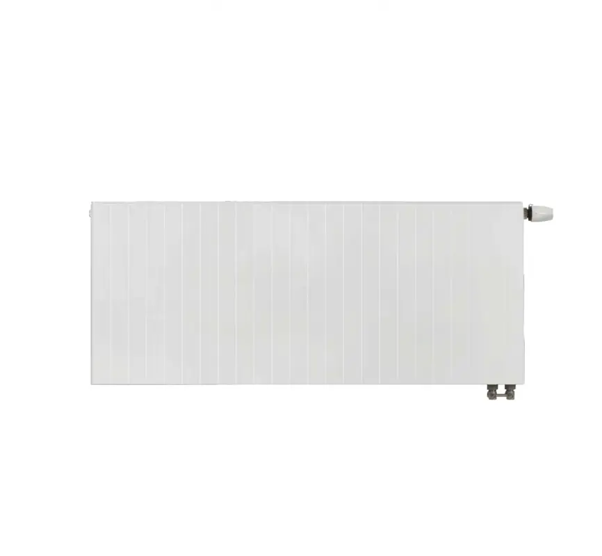 Enix Plaine Line PL Typ 21 Grzejnik płytowy 50x60 cm biały RAL 9016 połysk GP-PL21-60-050-01